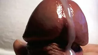 බල්ලා ඇගේ ප්රියතම ස්ථානයයි